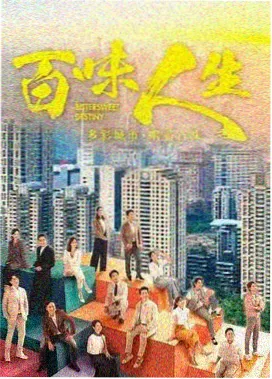 雾港迷局 热播电视剧推荐
